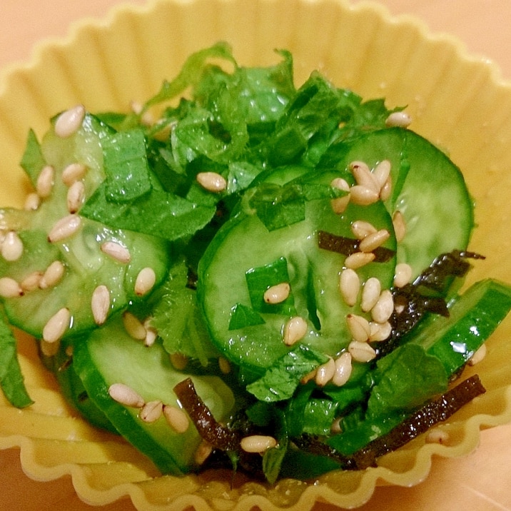 大葉入り塩昆布きゅうり~お弁当の隙間おかず~